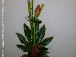 ART FLORAL : l'Amaryllis