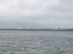 Baie de Somme/Marquenterre