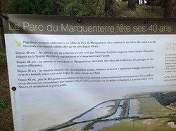 Baie de Somme/Marquenterre