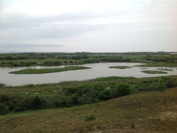 Baie de Somme/Marquenterre