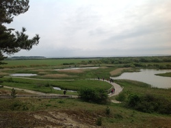 Baie de Somme/Marquenterre