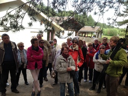 Baie de Somme/Marquenterre