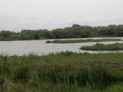Baie de Somme/Marquenterre