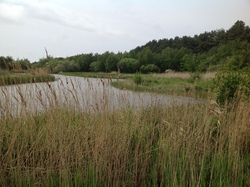 Baie de Somme/Marquenterre