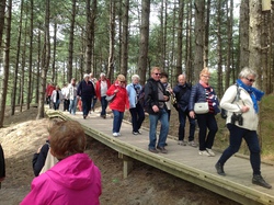 Baie de Somme/Marquenterre