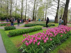 le KEUKENHOF