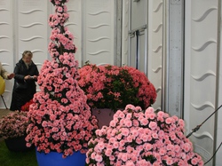 Les Floralies de GAND