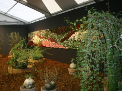 Les Floralies de GAND