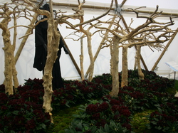 Les Floralies de GAND