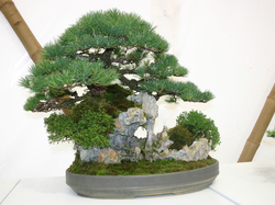 Les Floralies de GAND