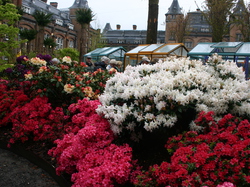 Les Floralies de GAND