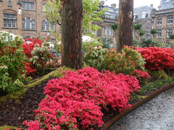 Les Floralies de GAND