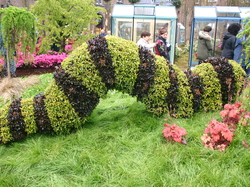 Les Floralies de GAND