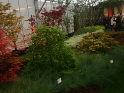 Les Floralies de GAND