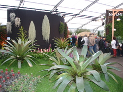 Les Floralies de GAND