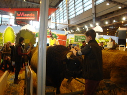 Salon de l'Agriculture