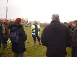 Taille des Arbres Fruitiers