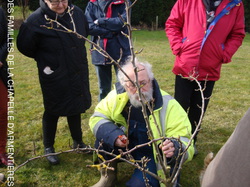 Taille des Arbres Fruitiers